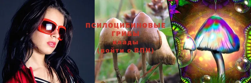 ссылка на мегу зеркало  Куртамыш  Псилоцибиновые грибы Cubensis 